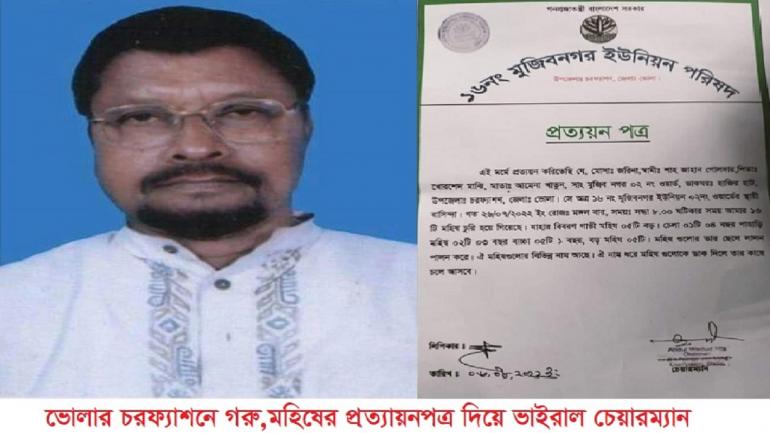 ভোলার দুলারহাটে গরু,মহিষের প্রত্যয়নপত্র দিলেন চেয়ারম্যান