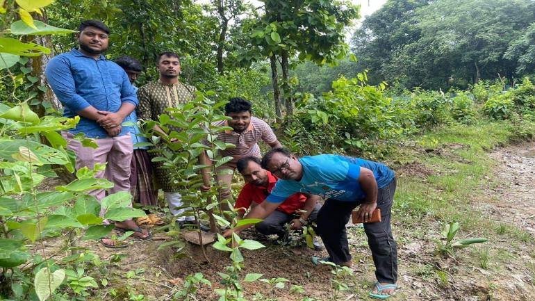 সবুজ আন্দোলনের বৃক্ষরোপণ কর্মসূচি