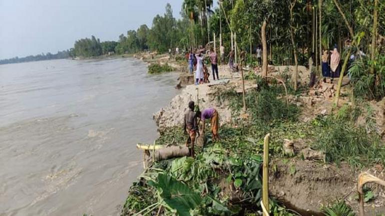 কুড়িগ্রামে ২৪ ঘন্টা দুইটি শিক্ষা প্রতিষ্ঠানসহ ৫৫ বাড়ি তিস্তার গর্ভে বিলীন