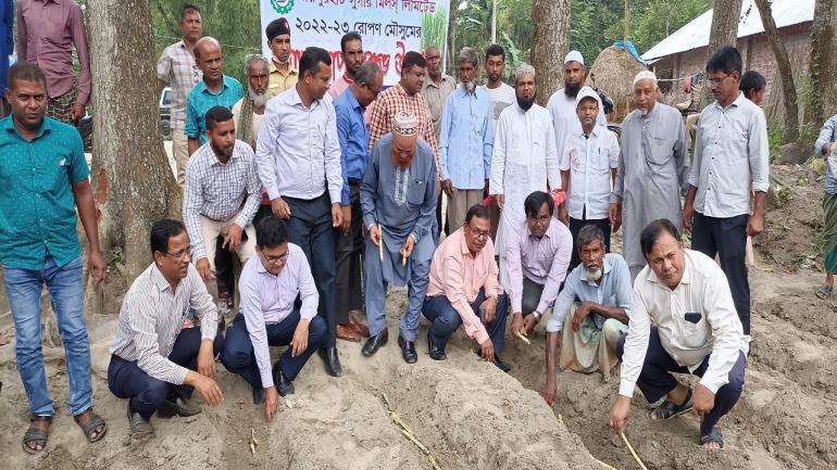 জয়পুরহাট চিনিকল এলাকায় আখ রোপন শুরু