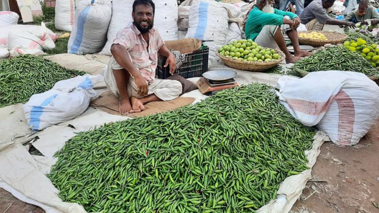 নাটোরে কাঁচা মরিচ ২৫ টাকায় ১ কেজি