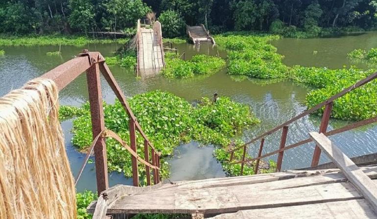 নড়াইলে কাঠের সেতুটি ভেঙে যাওয়ার পাঁচ কিলোমিটার ঘুরে শহরের যেতে হয়